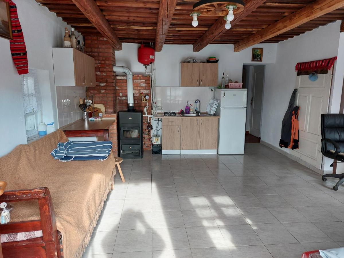 Cabana Casa Lu'Baciu Arpaşu de Sus المظهر الخارجي الصورة